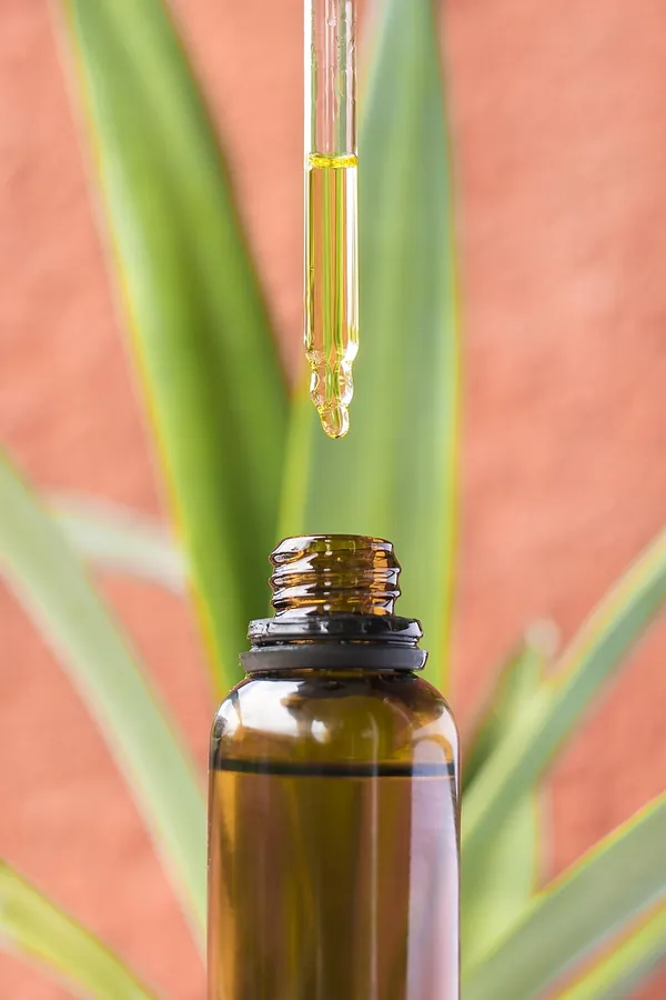 Bambu Yapraklı Yatıştırıcı Serum
