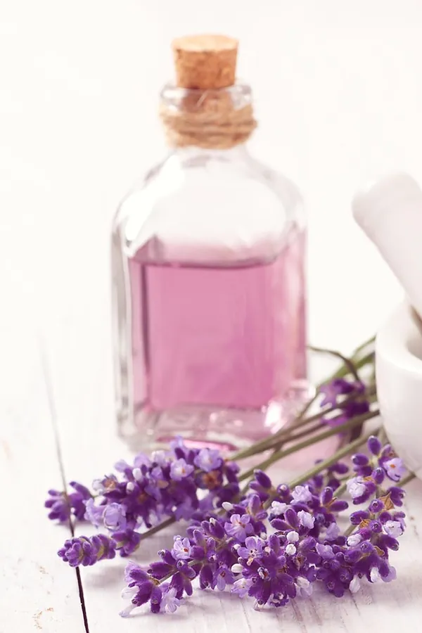Pembe Lavanta Parfüm Esansı
